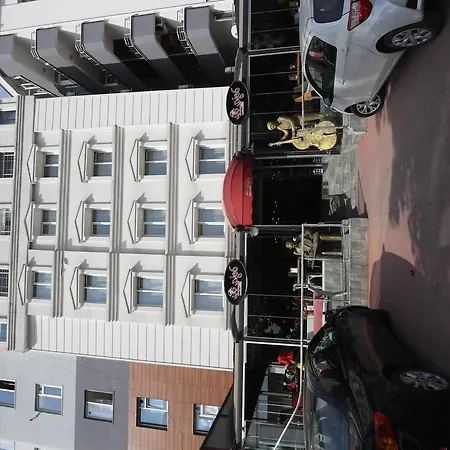 Hotel Egas Ordu